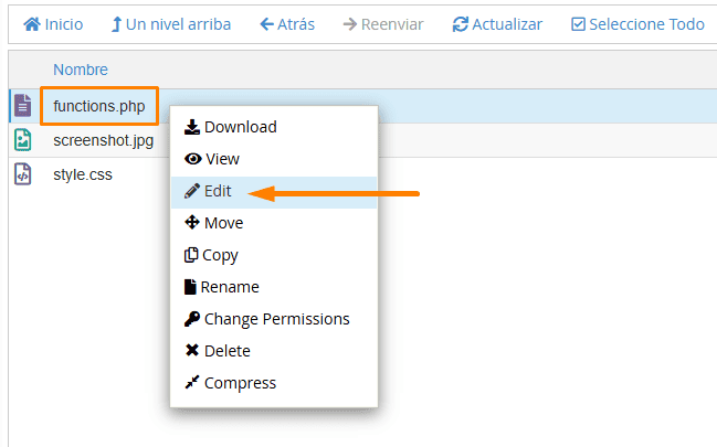 Editar archivo functions. php desde hosting